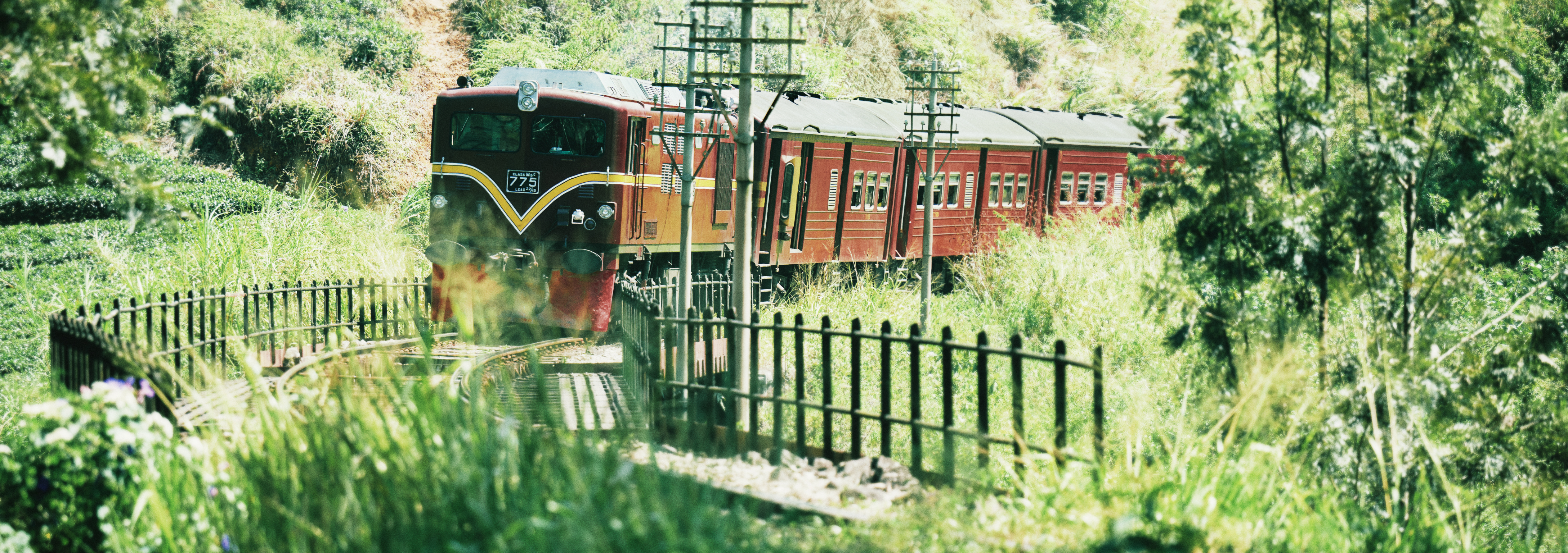 GOGO-TEA_紅茶鉄道
